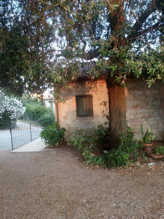 Farm stay Cordovani *