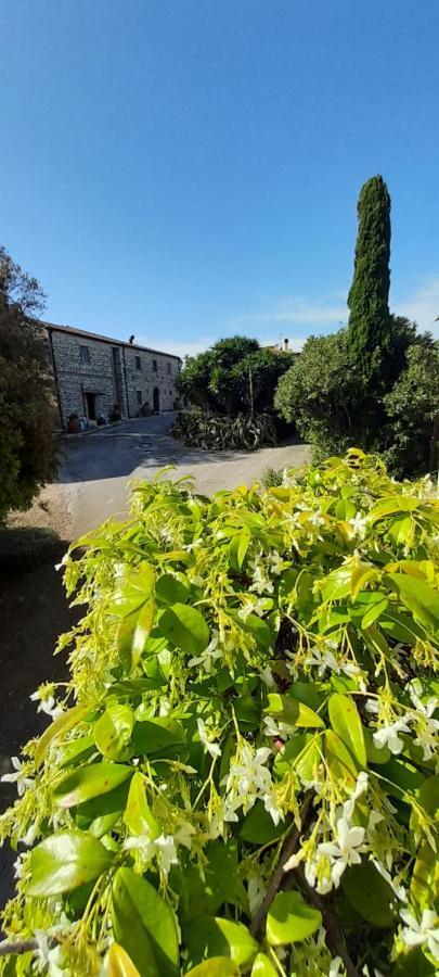 Cordovani *