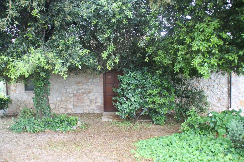 Cordovani *