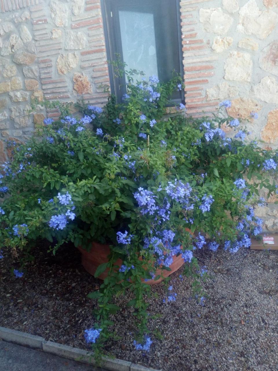 Alloggio per agriturismo Cordovani *