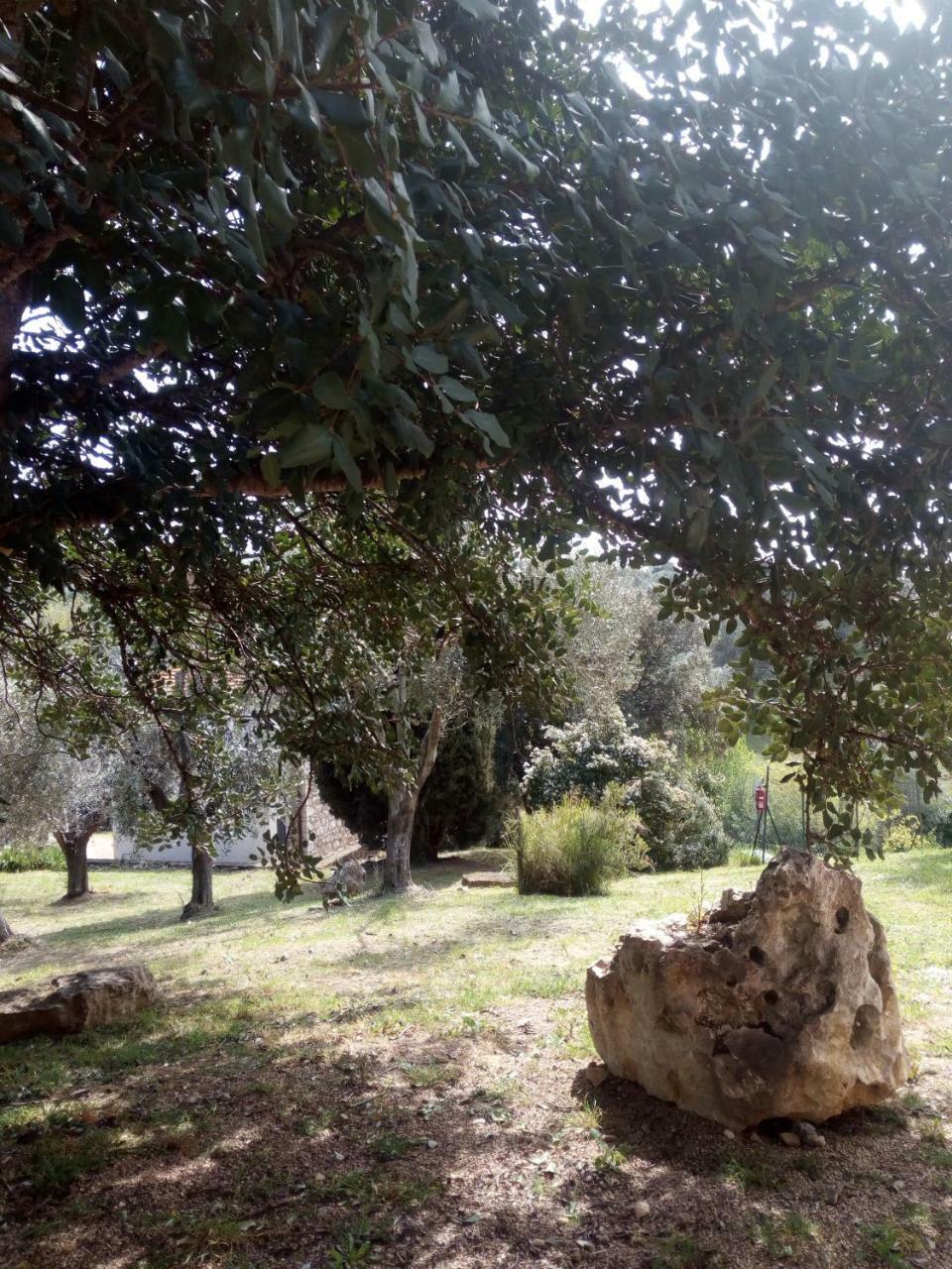 Cordovani Magliano in Toscana