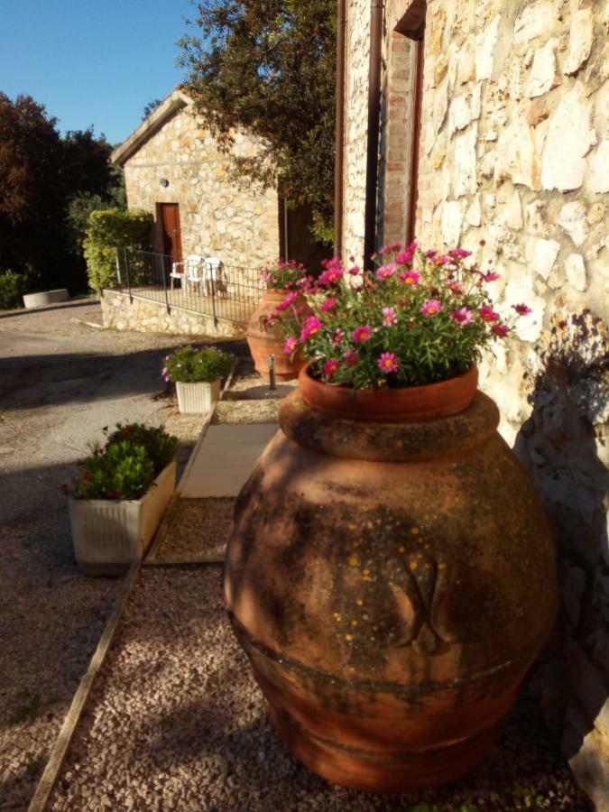 Alloggio per agriturismo Cordovani Magliano in Toscana
